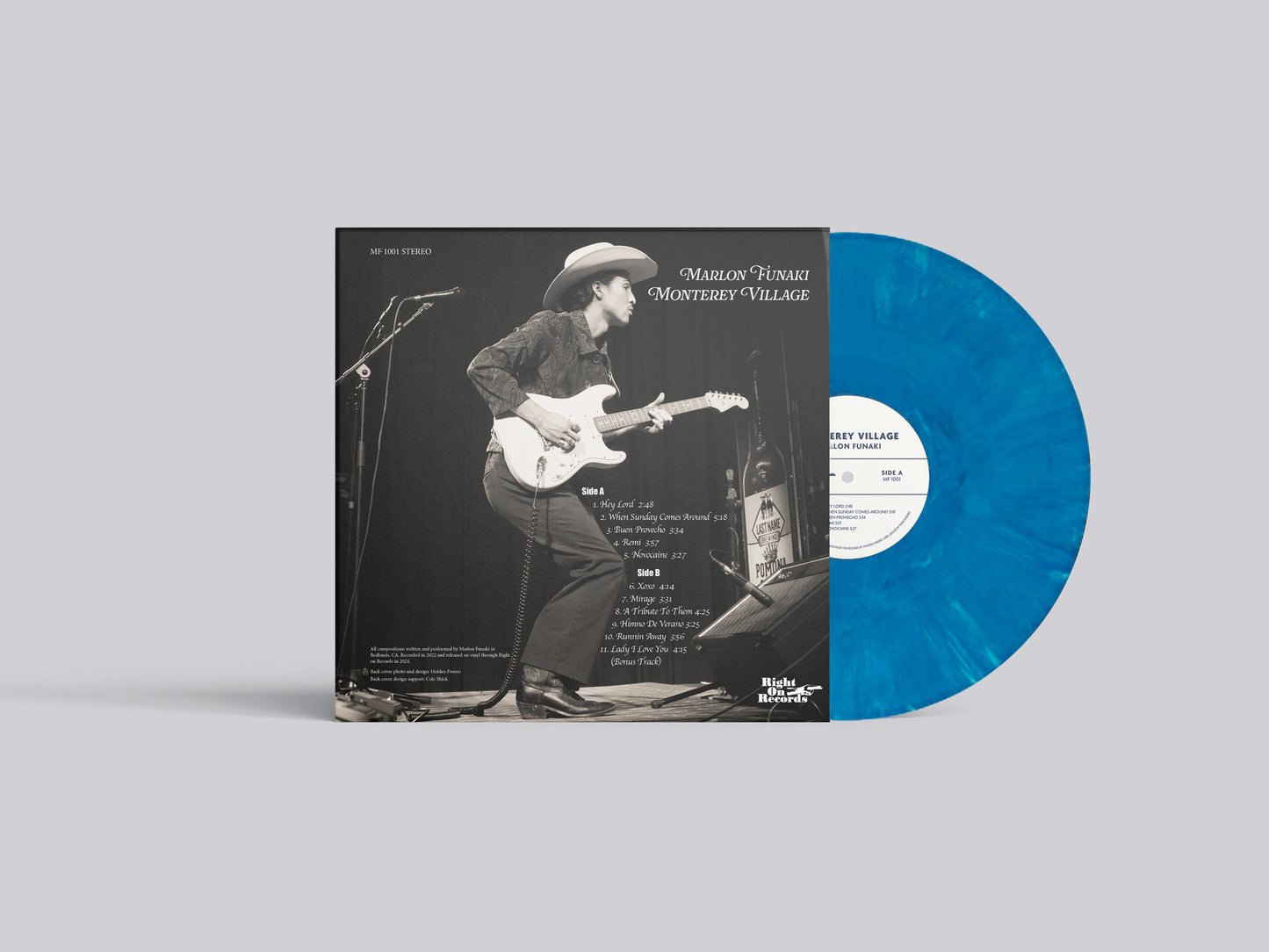 Monterey Village Vinyl